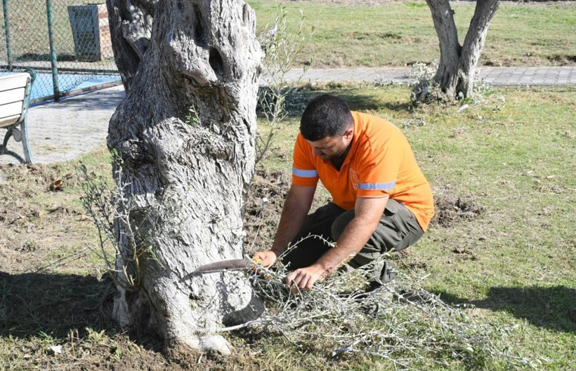Kuşadası'nda park ve yeşil alanlara bakım - Resim : 2