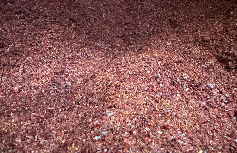 Kış kapıda, sahtek&acirc;rlar iş başında: Alırken bir kez daha d&uuml;ş&uuml;n&uuml;n: Baharatta hile skandalı - Resim : 3