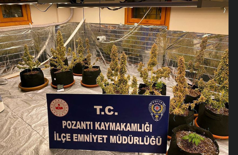 Villayı esrar fabrikasına çevirmişler! Sevgililer gözaltına alındı - Resim : 4