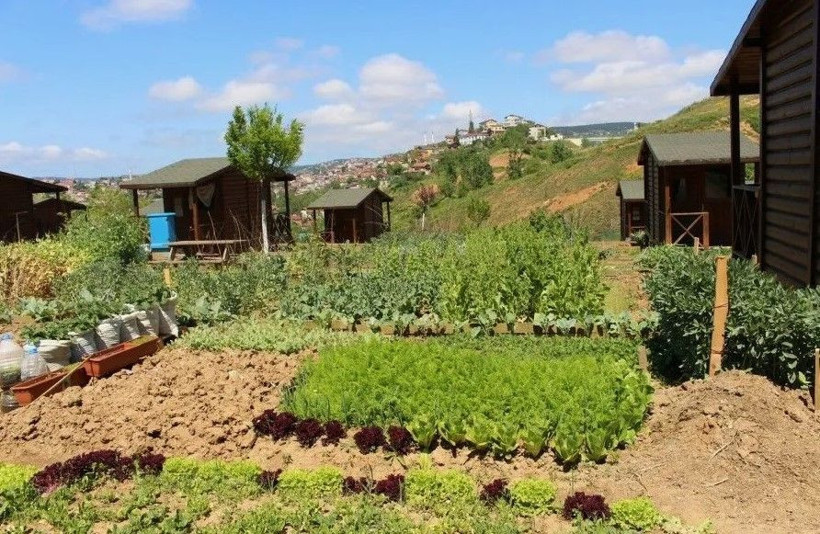 Hobi bahçeleri düzenlemesi değişiyor: Üretene müjde, ranta yıkım - Resim: 2