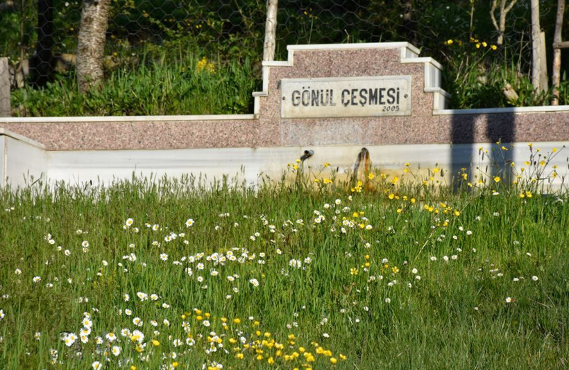 Doğanın tüm renkleri burada buluştu: Yazın ortasında soba yaktıran cennet - Resim: 14