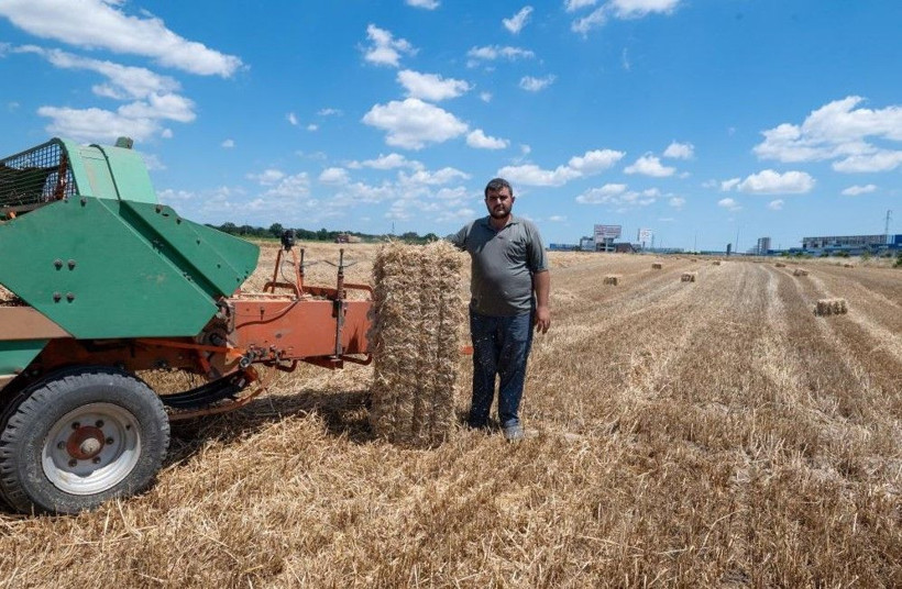 Bir günde 13 bin TL kazanıyorlar: Günde 500 tane taşıyorlar - Resim: 6