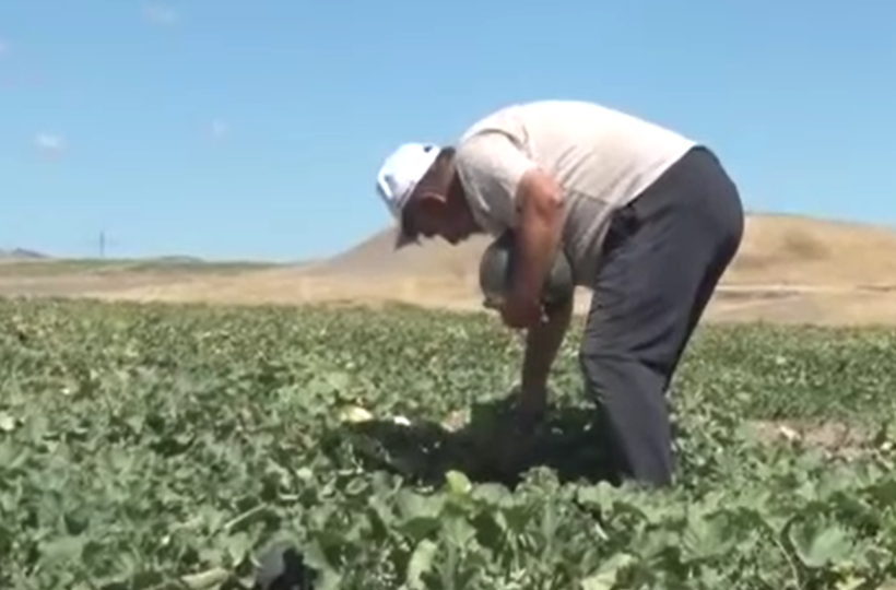 Su istemiyor, 50 ton bekleniyor: Tek bir ile özgü - Resim: 15