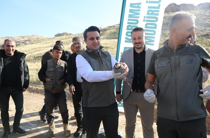 Hasankeyf’te ceylan ve kınalı keklikler doğayla buluşturuldu - Resim : 2