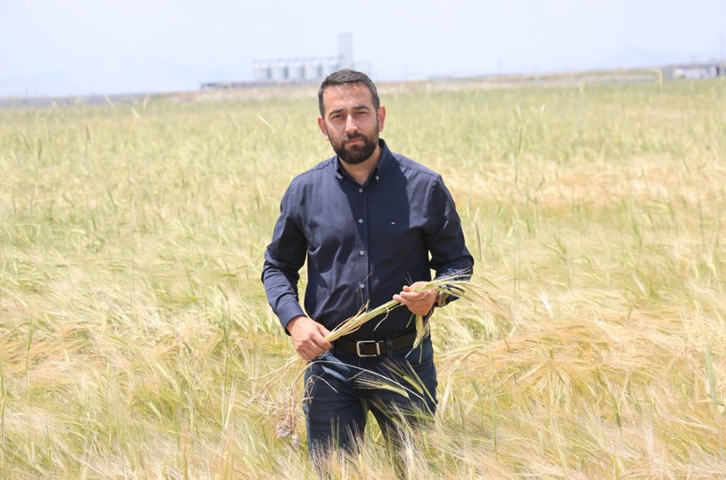 Konya Ovasında buğday rekoltesinde beklenti 2 milyon 200 bin ton - Resim : 3