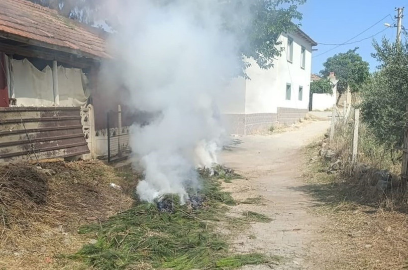 Manisa'da anız ateşi pahalıya patladı: Jandarma işlem başlattı - Resim : 1