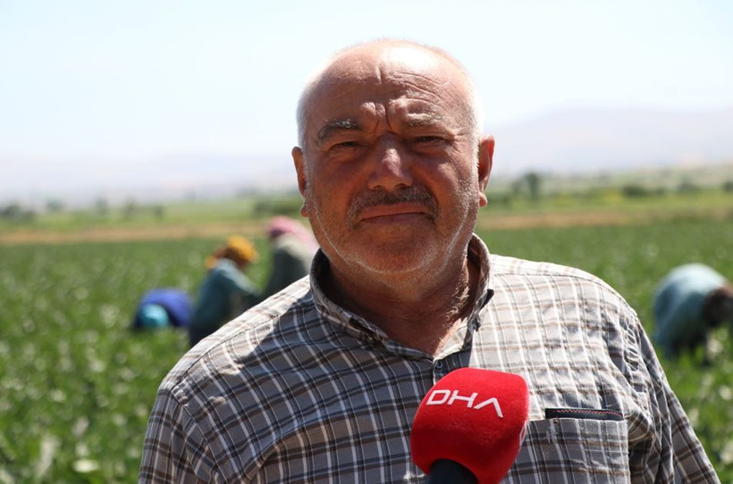 Tarlada hasat başladı: Mor-beyaz inci kalp ve beyne iyi geliyor - Resim: 8