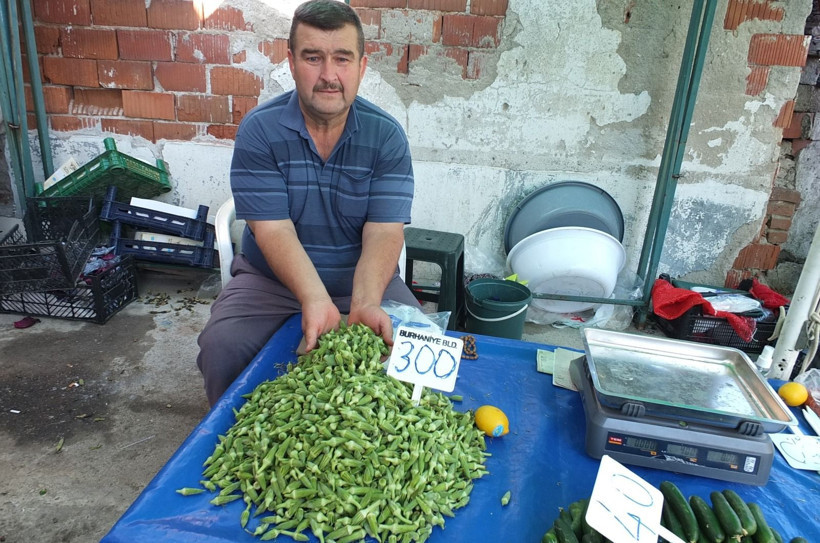 'Yeşil altının' kilosu 300 TL'ye çıktı: 'Sayesinde cebimiz para gördü' - Resim: 6