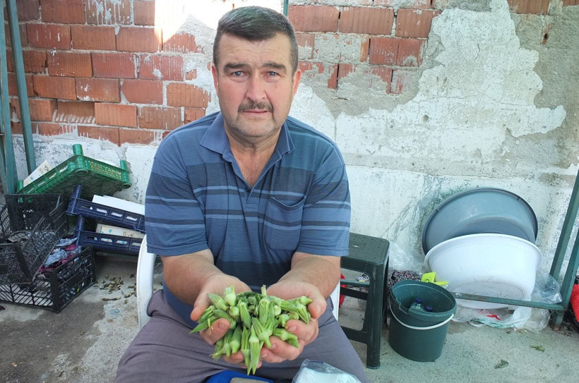 'Yeşil altının' kilosu 300 TL'ye çıktı: 'Sayesinde cebimiz para gördü' - Resim: 2