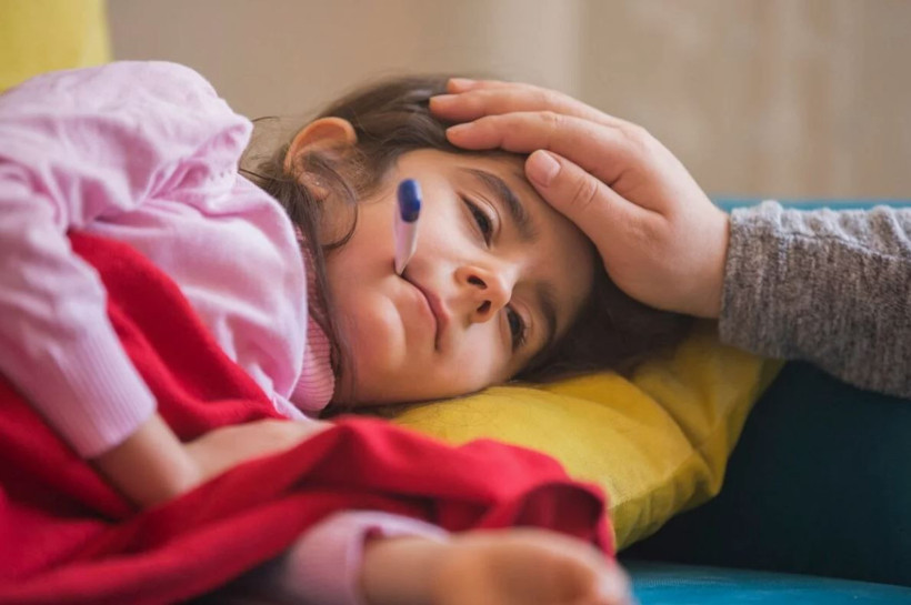 Bocavirüs kabusu: Bu mevsimde çocuklar tehlikede. Prof. Dr. Sedat Öktem uyardı - Resim: 29