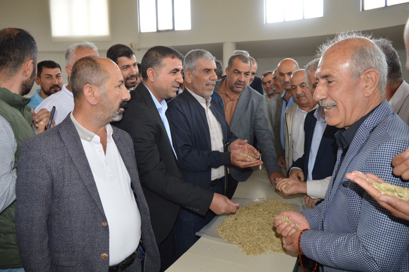 Mardin’de hasadına başlandı: İlk mahsulü getiren çiftçi altınla ödüllendirildi - Resim: 6