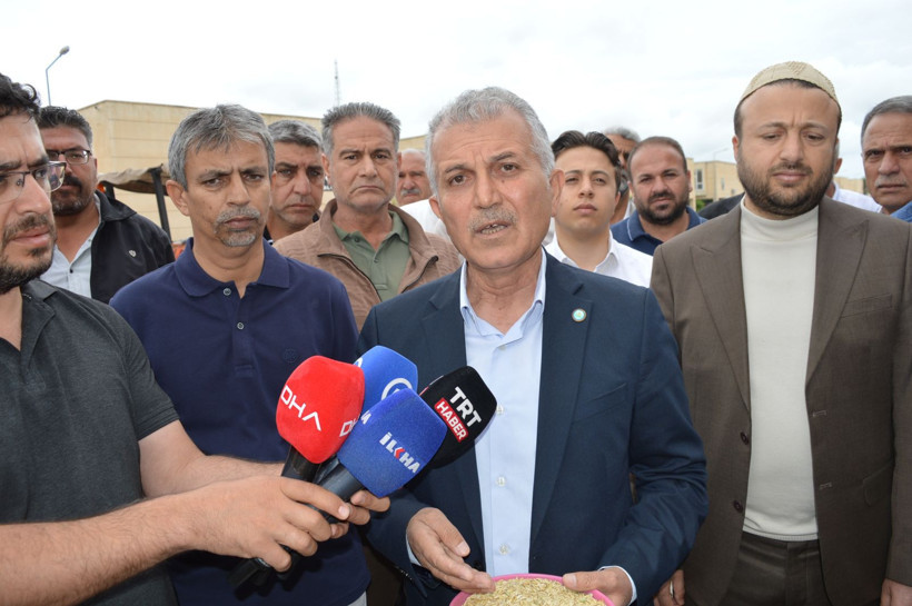Mardin’de hasadına başlandı: İlk mahsulü getiren çiftçi altınla ödüllendirildi - Resim: 7
