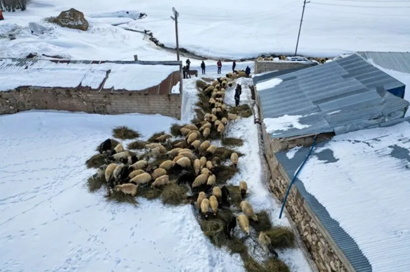Tarım Kredi'den peş peşe zam: Arpa, mısır ve karma yeme yeni fiyat - Resim: 4
