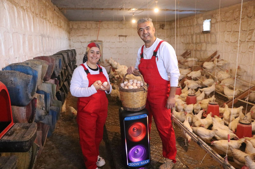 Kayseri’de ilginç yöntem: Tavuklara Türk sanat müziği dinletti, verimi arttırdı - Resim: 8