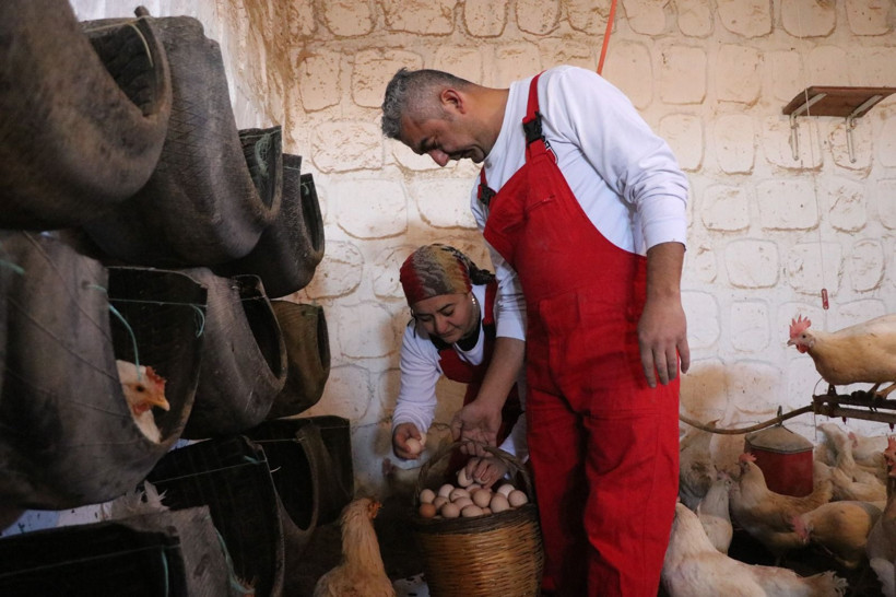 Kayseri’de ilginç yöntem: Tavuklara Türk sanat müziği dinletti, verimi arttırdı - Resim: 5