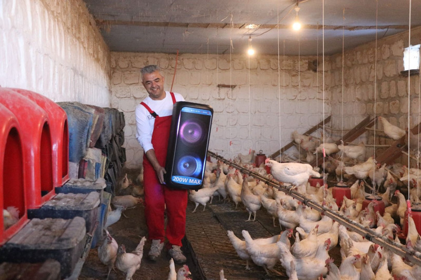 Kayseri’de ilginç yöntem: Tavuklara Türk sanat müziği dinletti, verimi arttırdı - Resim: 7