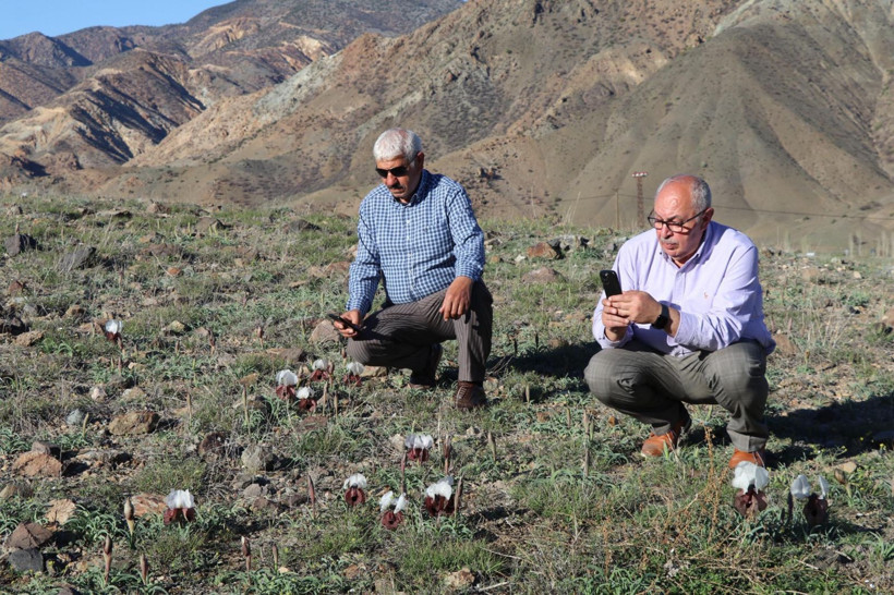 Doğanın gelini görücüye çıktı: Erzurum’da nadide güzellik - Resim: 8