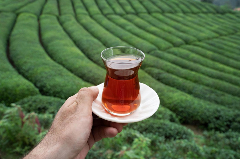 Çay Rize'ye ne zaman geldi? Rizeli bu yoruma çok kızacak - Resim: 7