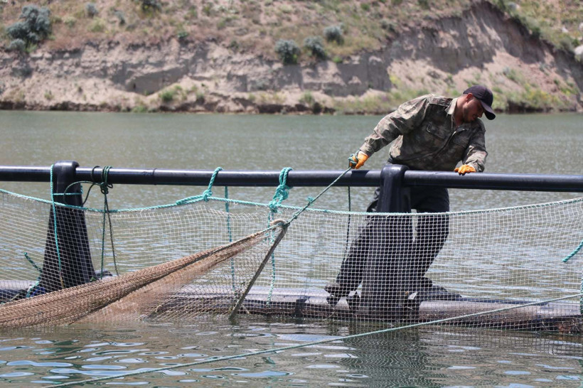 Denizi olmayan şehirden 49 ülkeye balık ihracatı: Günlük tam 100 ton - Resim: 6