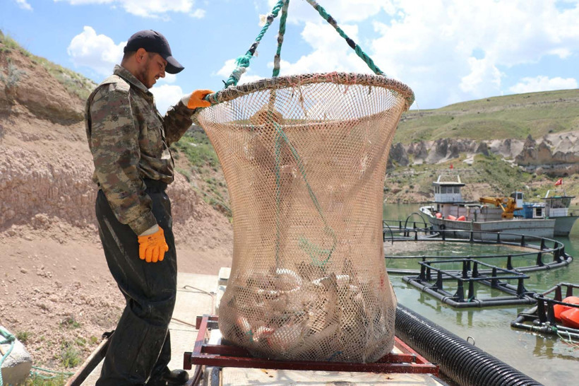 Denizi olmayan şehirden 49 ülkeye balık ihracatı: Günlük tam 100 ton - Resim: 2