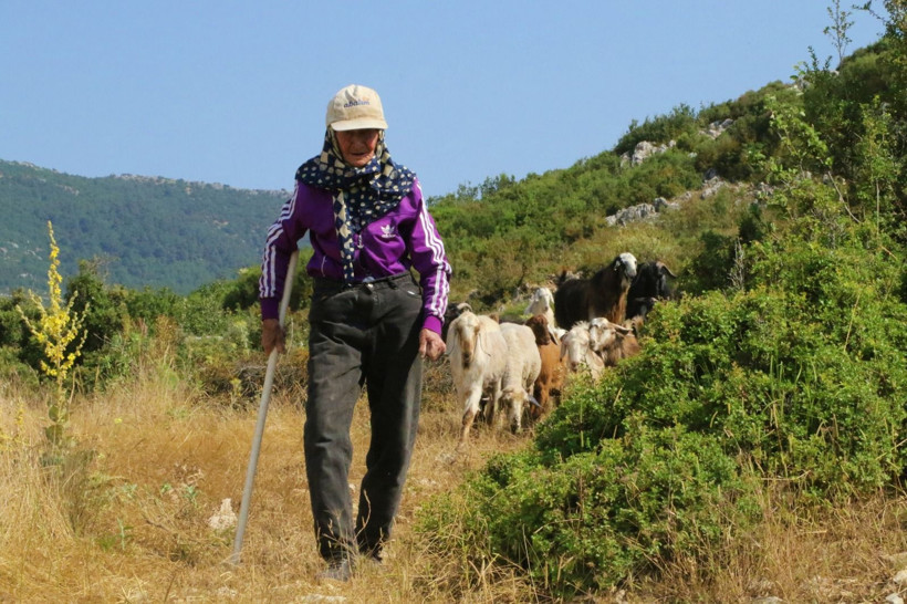 5 yaşında başladı, 90 yıldır aynı işle geçimini sağlıyor - Resim: 4