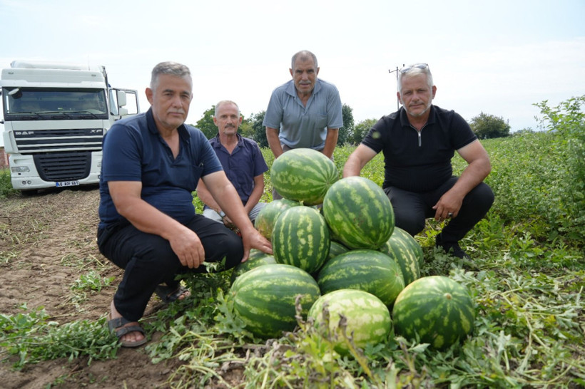 Tarlada hasat başladı: Kilosu 4 liradan satılıyor, üretici kara kara düşünüyor - Resim: 4