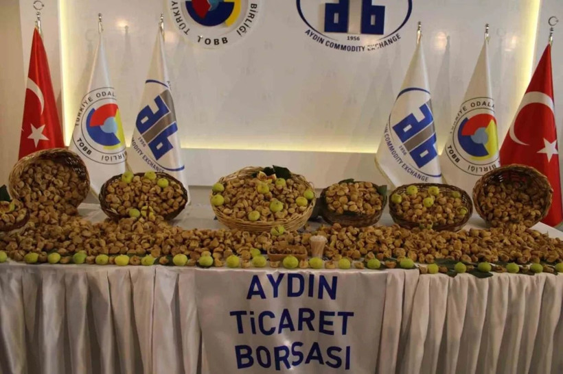 Kilosu 600 TL'den alıcı buldu: Bu ürün altınla yarışıyor,ilk hasadı başladı - Resim: 9