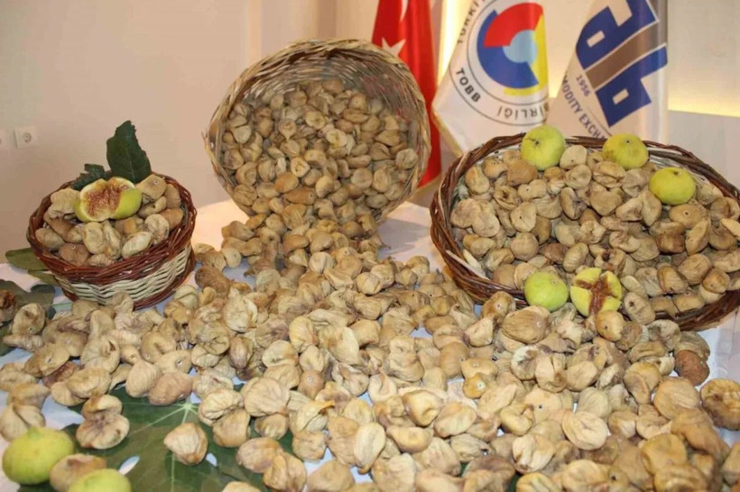 Kilosu 600 TL'den alıcı buldu: Bu ürün altınla yarışıyor,ilk hasadı başladı - Resim: 6