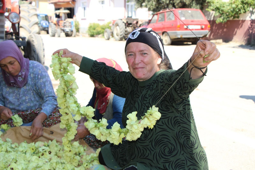 Sarı altının kilosu bin 400 Lira'dan satılıyor: Pazara götürenin elinde kalmıyor - Resim: 6