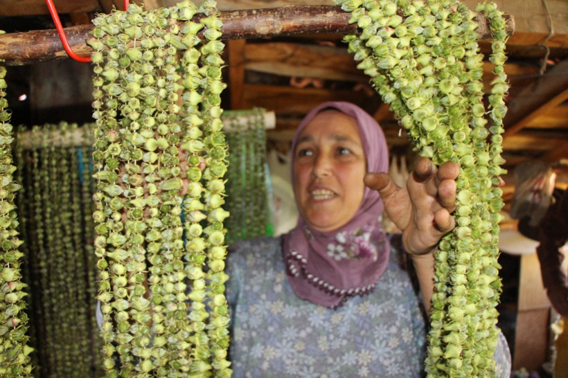Sarı altının kilosu bin 400 Lira'dan satılıyor: Pazara götürenin elinde kalmıyor - Resim: 4