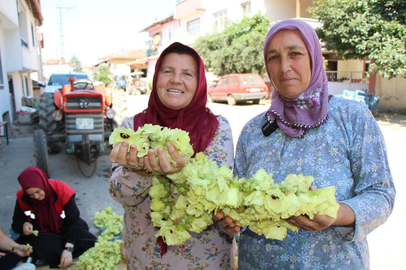 Sarı altının kilosu bin 400 Lira'dan satılıyor: Pazara götürenin elinde kalmıyor - Resim: 12