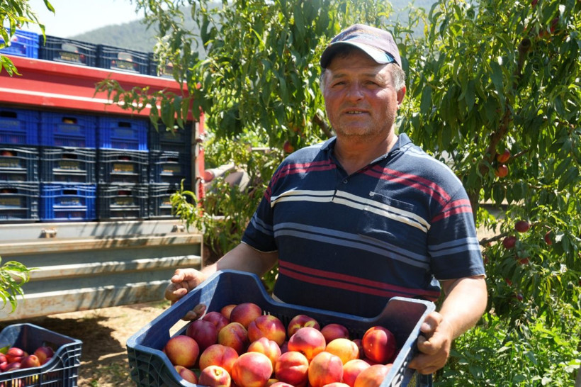 Fiyatı 70 liradan 5 TL’ye düştü: Üretici o ürün için dert yandı - Resim: 5