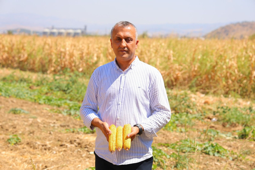 Tarlada kilosu 14 TL'den satılıyor: Çiftçinin hasat mesaisi başladı - Resim: 7
