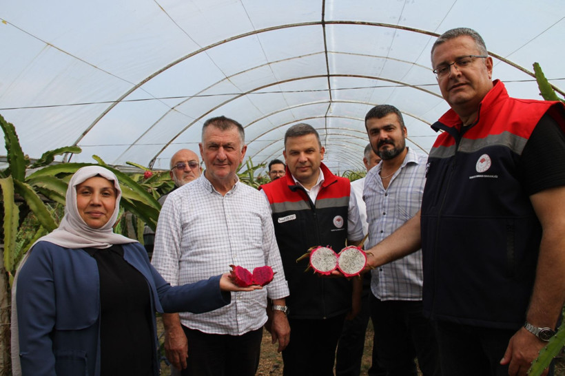 Tanesi 100 liradan satılıyor: Tam bir c vitamini ve antioksidan deposu - Resim: 4