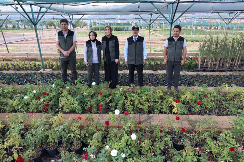 72 dönümde yetiştiriliyor, Türkiye'nin dört bir yanına buradan gidiyor: Yıllık kapasitesi 3 milyon - Resim: 7