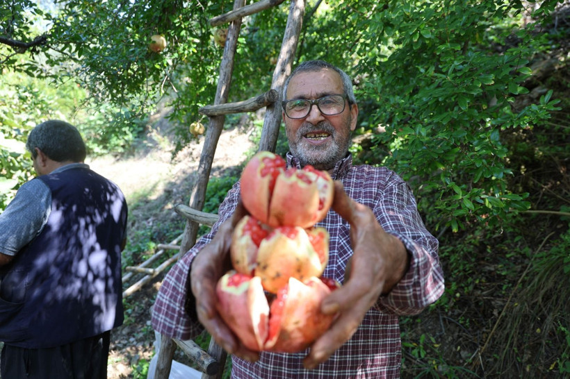 Kilosu 70 TL'den leblebi gibi satıyor: "Bu lezzet bulunmaz" - Resim: 9