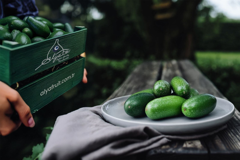 Borca dayanamadı Türk gıda markası iflas etti: Kiraz, incir ve nar ürünlerini dış pazara sunuyordu - Resim: 2