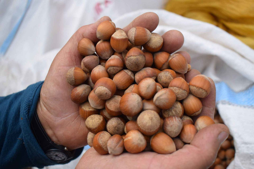 Kayseri pastırması AB’den coğrafi işaret tescili aldı - Resim: 5