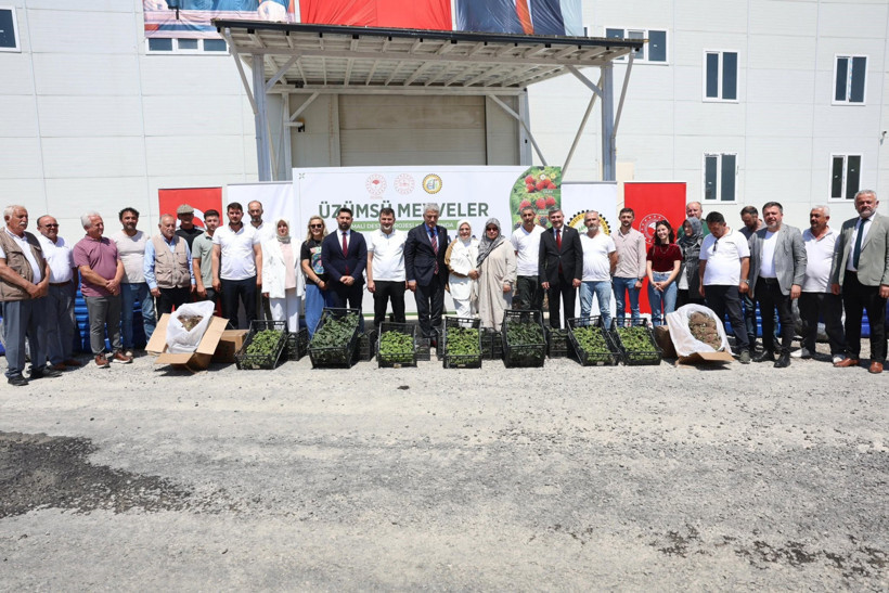 Düzce çiftçisine fide ve damla sulama sistemi desteği - Resim : 1