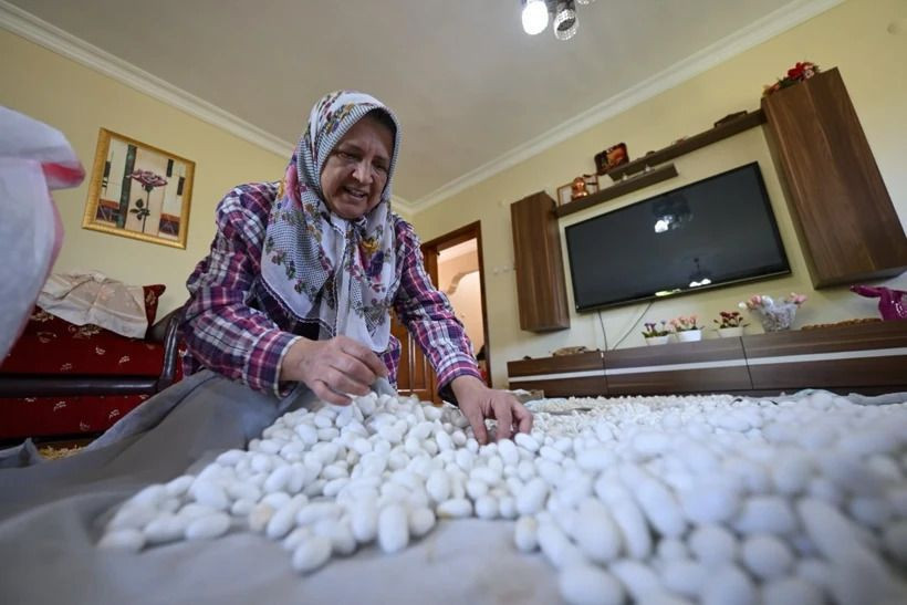 Emekli öğretmen hobi diye başladı: Bir ayda 12 aylık maaşı kadar kazanıyor - Resim: 5