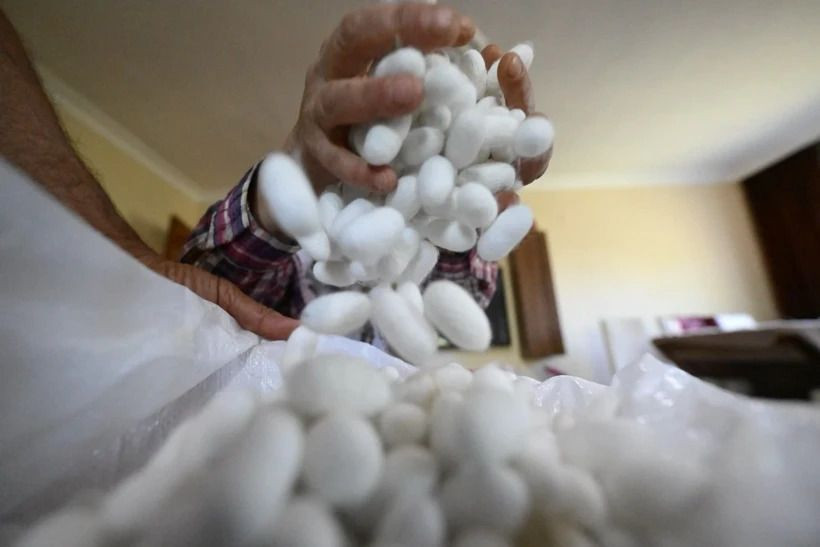 Emekli öğretmen hobi diye başladı: Bir ayda 12 aylık maaşı kadar kazanıyor - Resim: 6