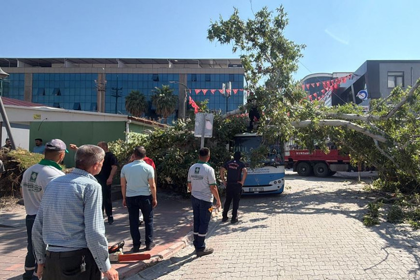 Cumhuriyet Meydanı’nda dehşet anları: Tonlarca ağırlıktaki ağaç otobüsün üstüne yıkıldı - Resim : 3