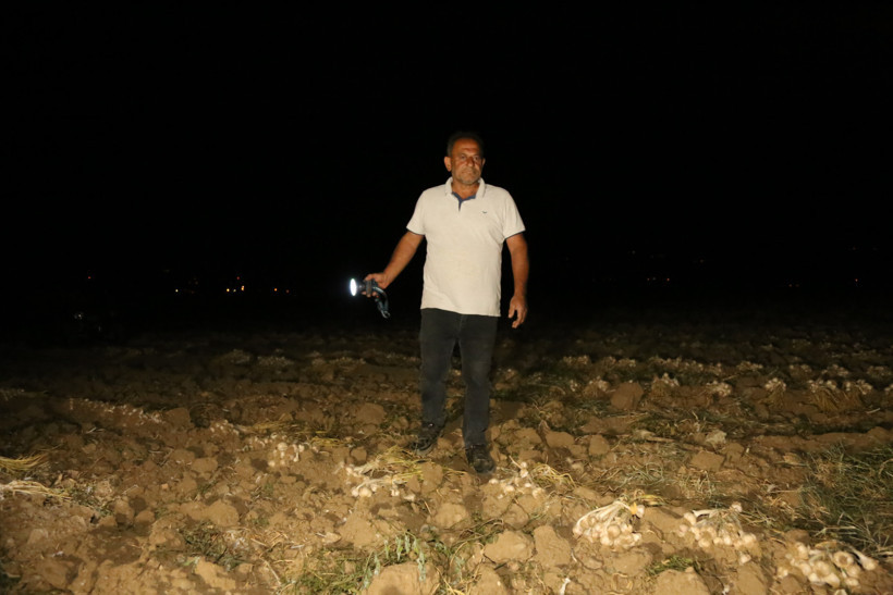 'Beyaz altın' için servet nöbeti başladı: Kilosu çok değerli - Resim : 2