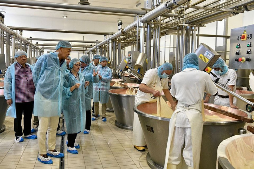 4,5 milyar euroluk dev sektör alarmda: Sıcaklar meşhur peyniri vurdu - Resim: 6