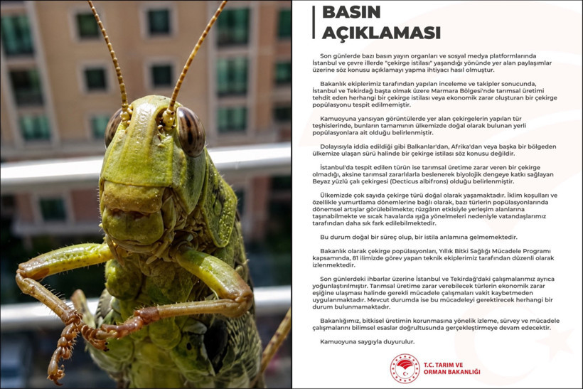 Tarım ve Orman Bakanlığı'ndan çekirge istilası açıklaması - Resim : 2