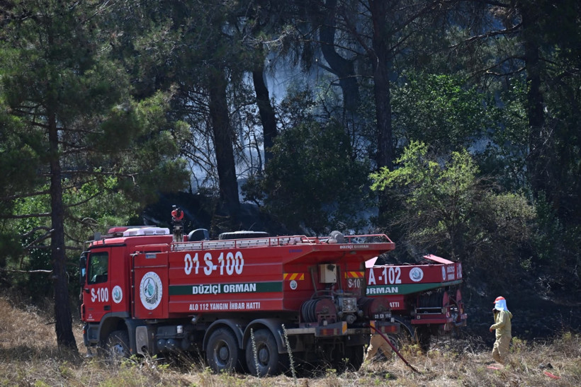 Osmaniye’deki orman yangını kontrol altında: Vali açıkladı - Resim : 1