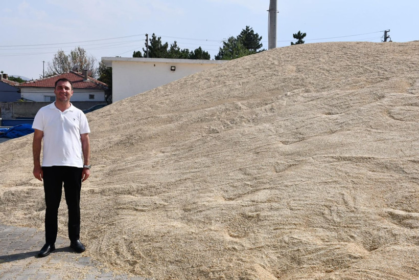 Hasat bitti, yüzler güldü: Çıkan gelir dudak uçuklattı - Resim: 5