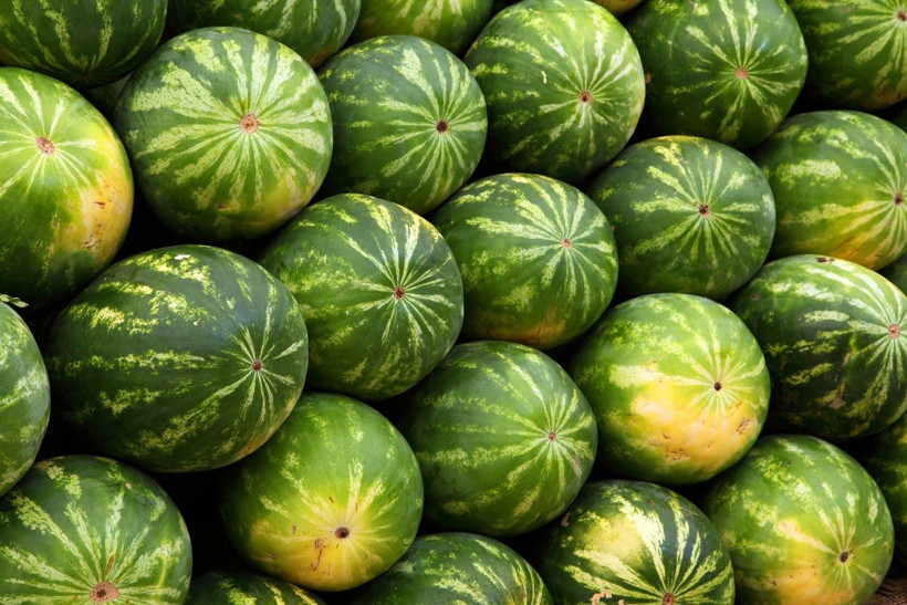 Kilosunu 10 liradan satıyorlar: Taleplere yetişemiyorlar - Resim: 4