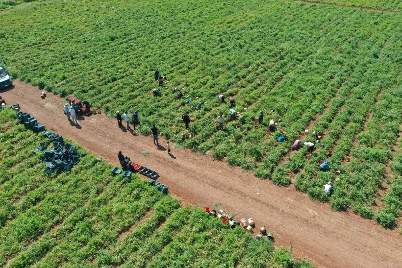 Kiralayarak başladı: Şu anda 300 kadına istihdam sağlıyor - Resim: 3
