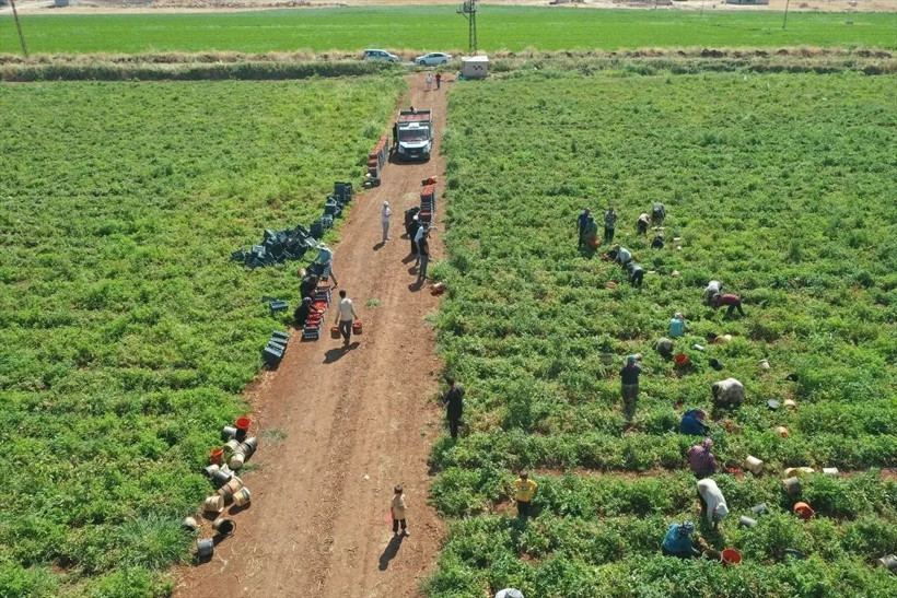 Kiralayarak başladı: Şu anda 300 kadına istihdam sağlıyor - Resim: 4